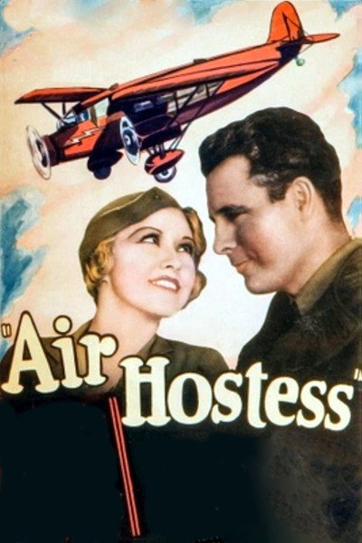 Póster de La dama del avión