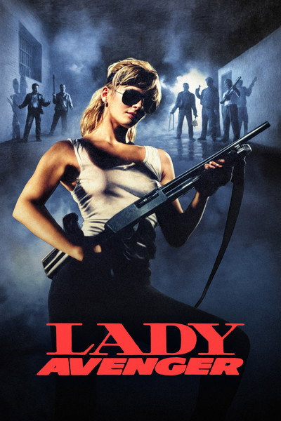 Póster de La dama vengadora