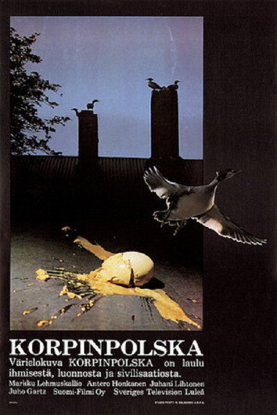 Póster de La danza del cuervo