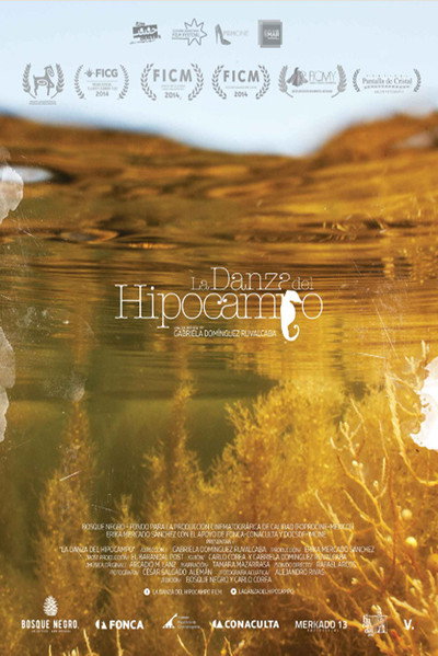 Póster de La danza del hipocampo