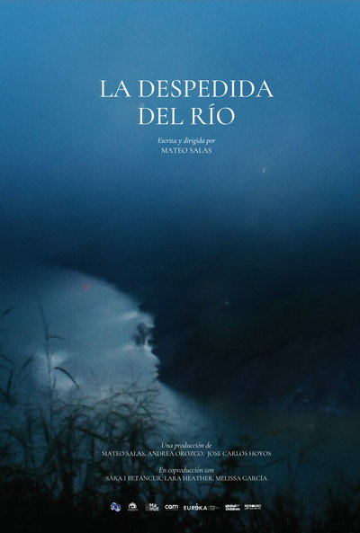 Póster de La despedida del río