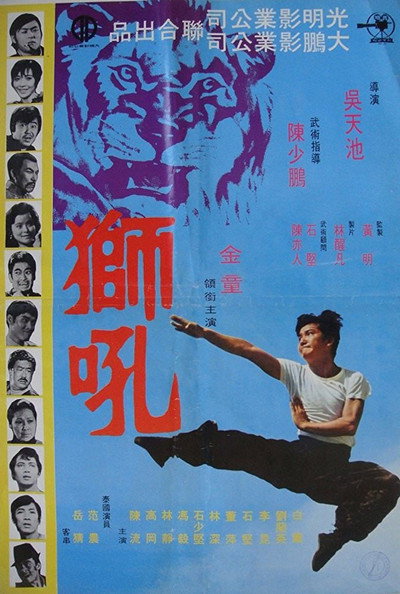 Póster de La destrucion de Kung Fu