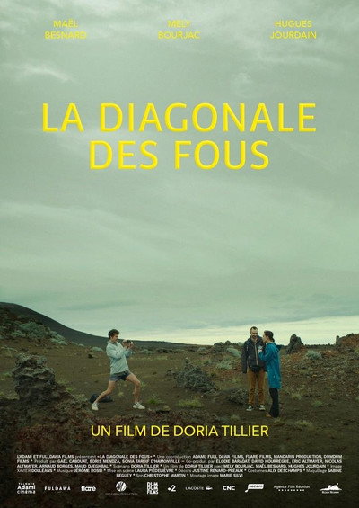 Póster de La diagonale des fous