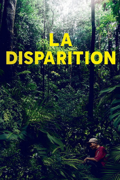 Póster de La disparition