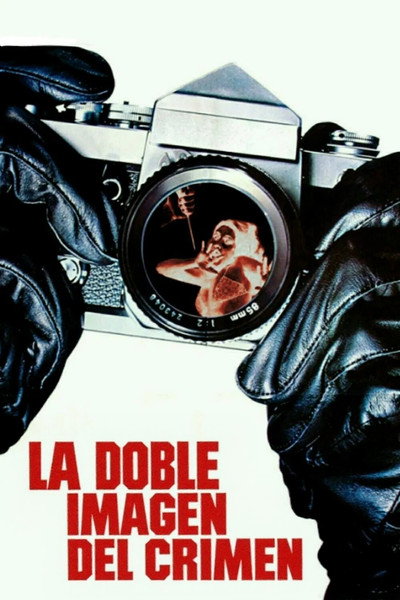 Póster de La doble imagen del crimen