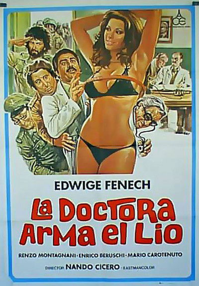 Póster de La doctora arma el lío