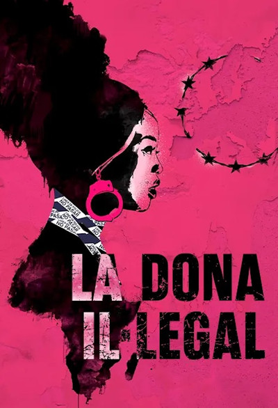 Póster de La dona il·legal