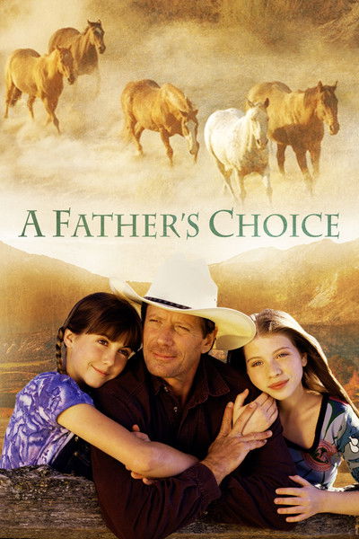Póster de La elección de un padre