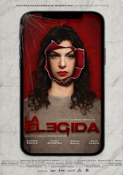 Póster de La elegida