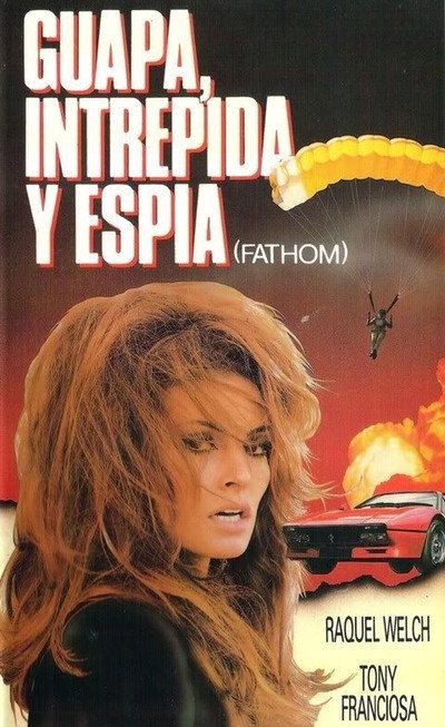 Póster de La espía que cayó del cielo