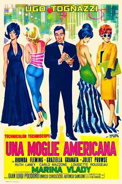Póster de La esposa americana