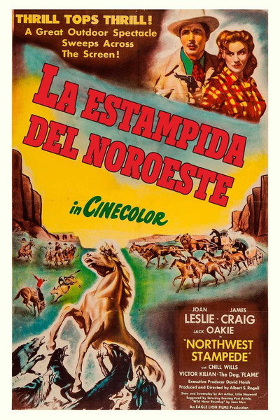 Póster de La estampida del noroeste
