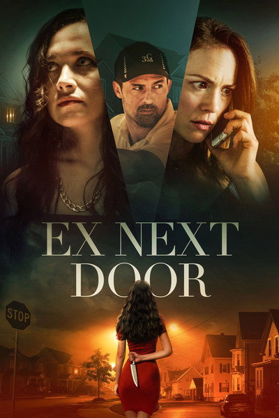 Póster de La ex en la puerta de al lado