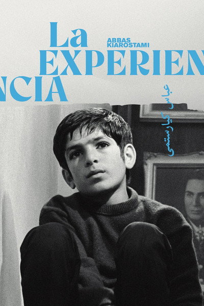 Póster de La experiencia