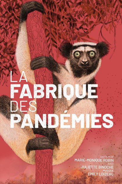 Póster de La fabrique des pandémies