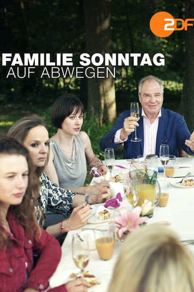 Póster de La familia Sonntag a la deriva