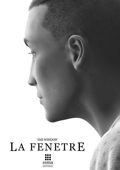 Póster de La fenêtre