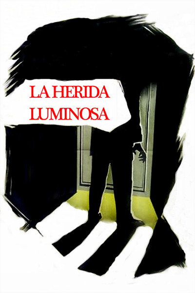 Póster de La Ferida Lluminosa