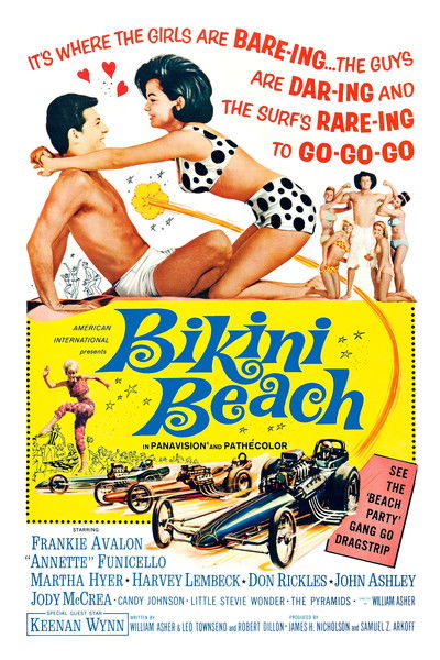 Póster de La fiesta de los bikinis