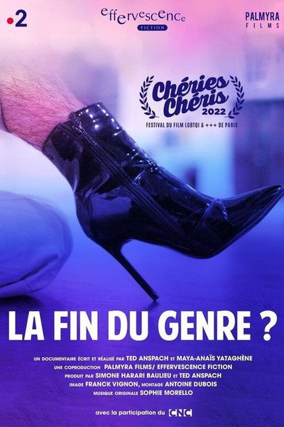 Póster de La fin du genre?