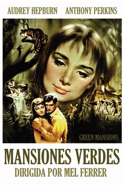 Póster de La flor que no murió