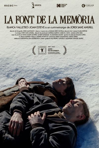 Póster de La font de la memòria
