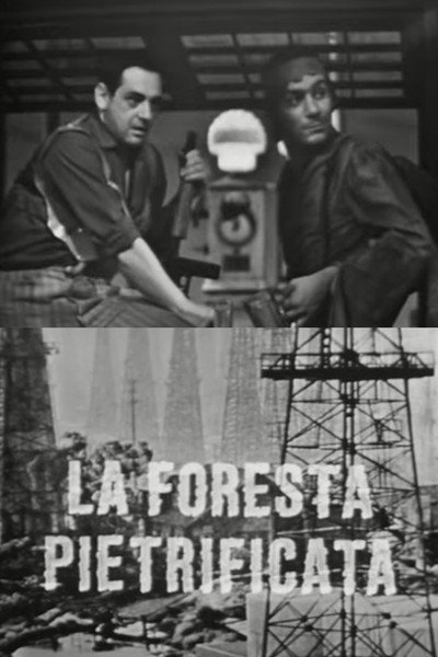 Póster de La foresta pietrificata