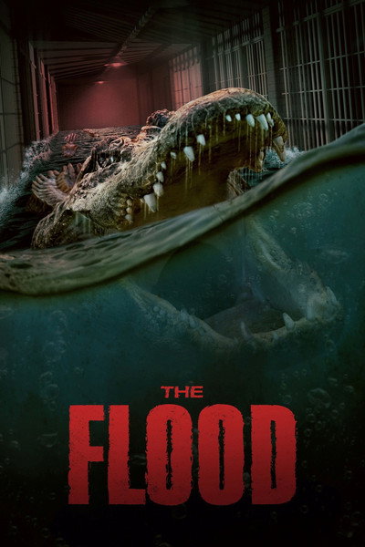 Póster de La fuga