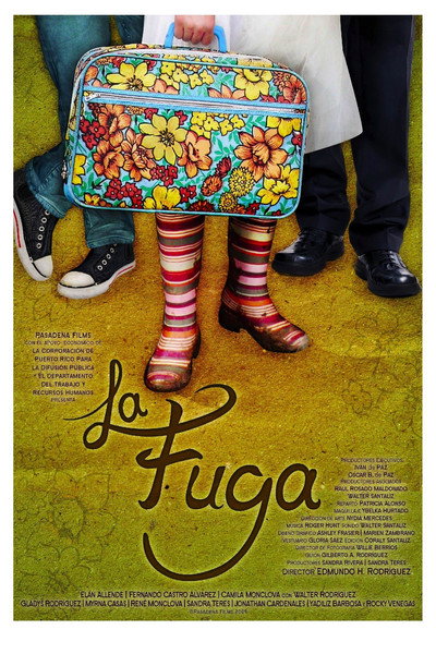 Póster de La fuga