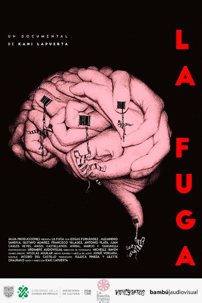 Póster de La fuga
