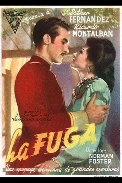 Póster de La fuga