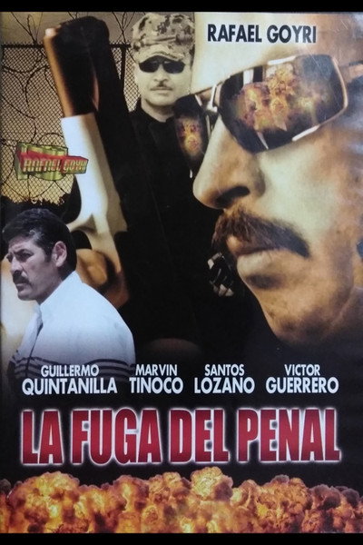 Póster de La fuga del penal