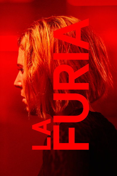 Póster de La furia