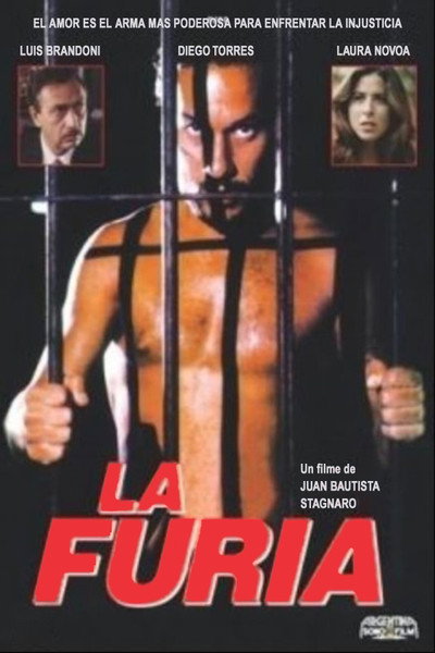 Póster de La furia