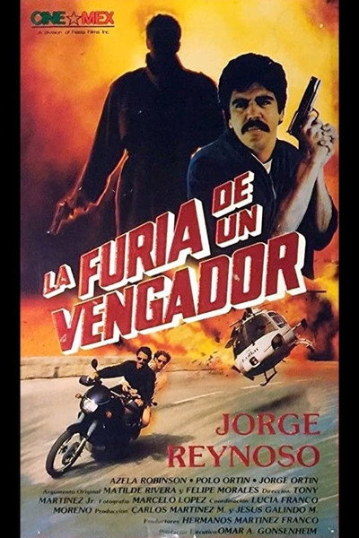 Póster de La furia de un vengador