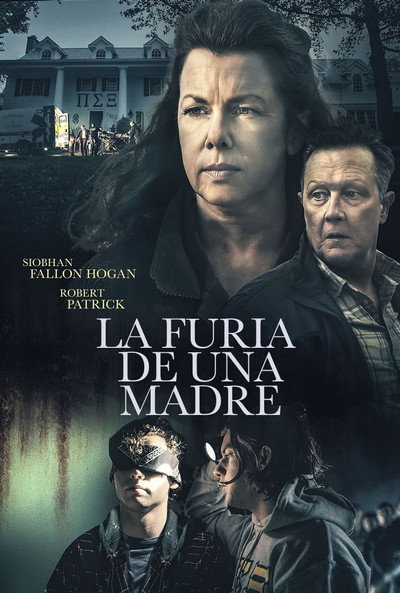 Póster de La furia de una madre