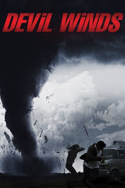 Póster de La furia del viento