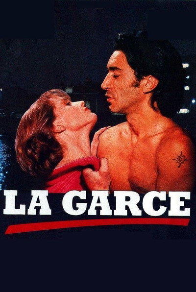 Póster de La garza