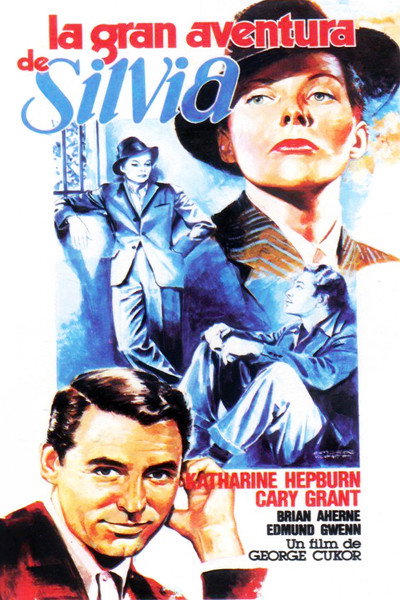 Póster de La gran aventura de Silvia