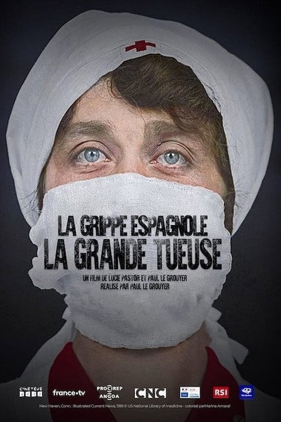 Póster de La gripe española