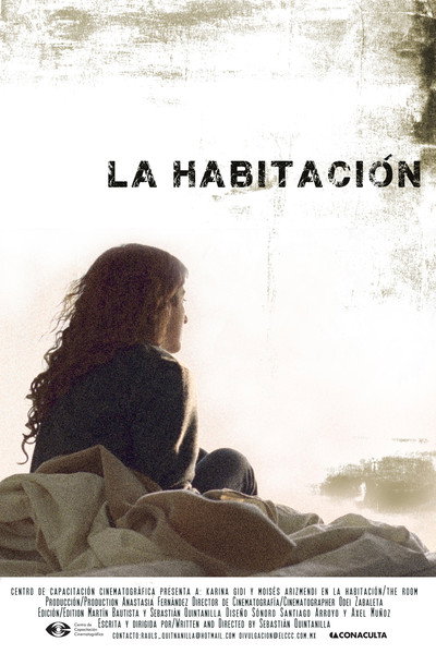 Póster de La Habitación