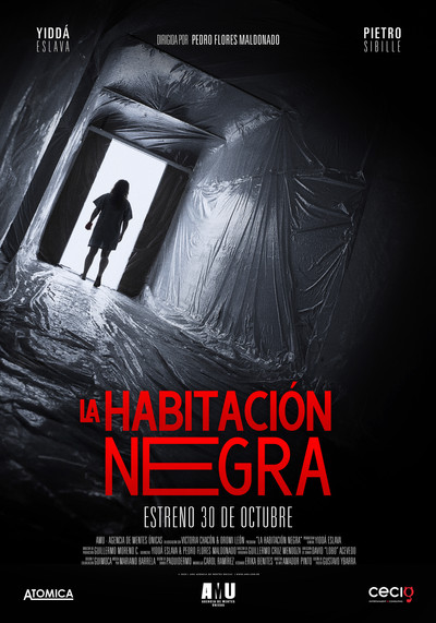 Póster de La Habitación Negra