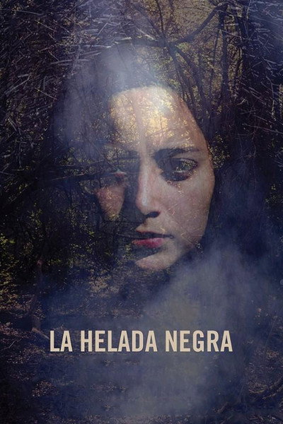 Póster de La helada negra