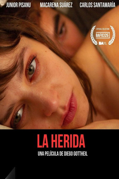 Póster de La Herida