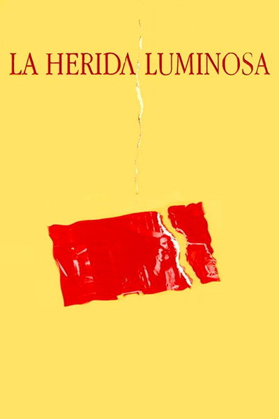 Póster de La herida luminosa
