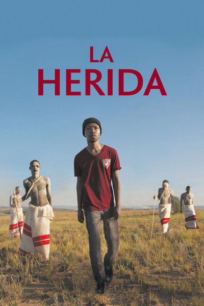Póster de La herida (The Wound)