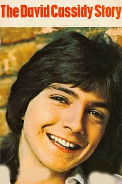 Póster de La historia de David Cassidy