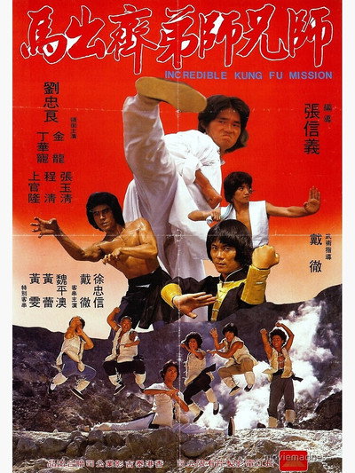 Póster de La increíble misión del Kung Fu