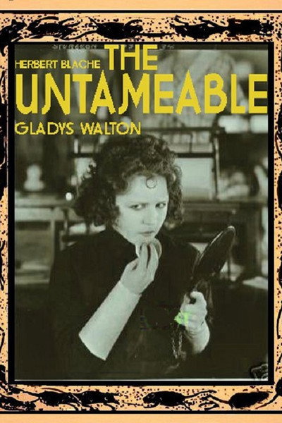 Póster de La indomable