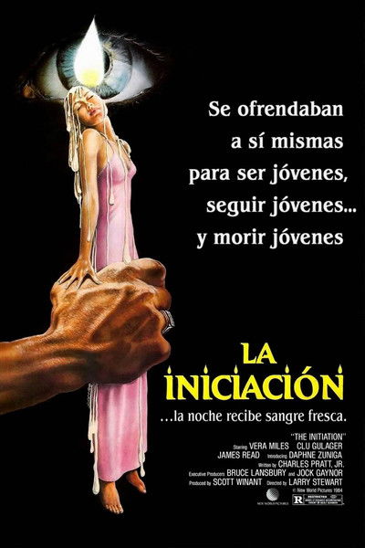 Póster de La iniciación